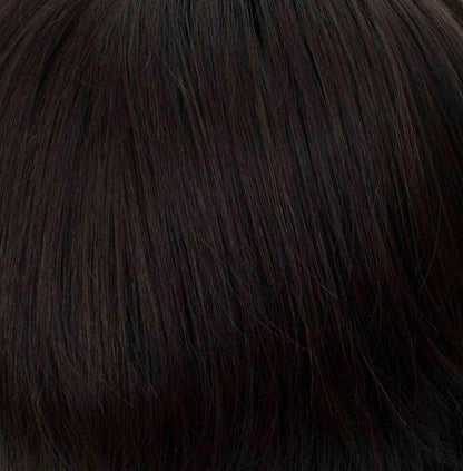 Pin Up Clip-On Hairpiece by Tony of Beverly | Synthetic Hairpiece