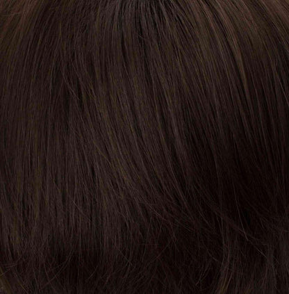 Pin Up Clip-On Hairpiece by Tony of Beverly | Synthetic Hairpiece